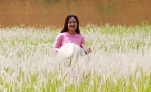 Nhà Xe BUBU – Đồng Hành Cùng Mọi Hành Trình