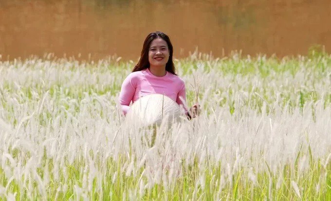 Nhà Xe BUBU – Đồng Hành Cùng Mọi Hành Trình